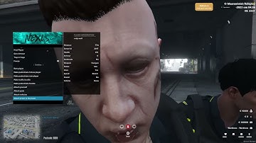 MOD MENU OP EEN GTA 5 ROLEPLAY SERVER?