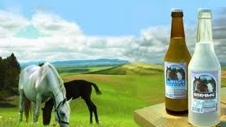ГАЙД: КАК ПРИГОТОВИТЬ КУМЫС В ДОМАШНИХ УСЛОВИЯХ ГАЙД: КАК ПРИГОТОВИТЬ КУМЫС В ДОМАШНИХ УСЛОВИЯХ