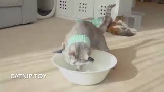 Happycat Hareketli Balık Kedi Oyuncağı Şarjlı