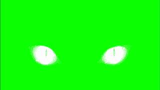 ✔️GREEN SCREEN EFFECTS: ghost cat eyes