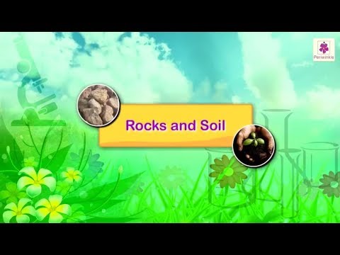 वीडियो: चट्टान के कणों के अलावा मिट्टी में क्या होता है?
