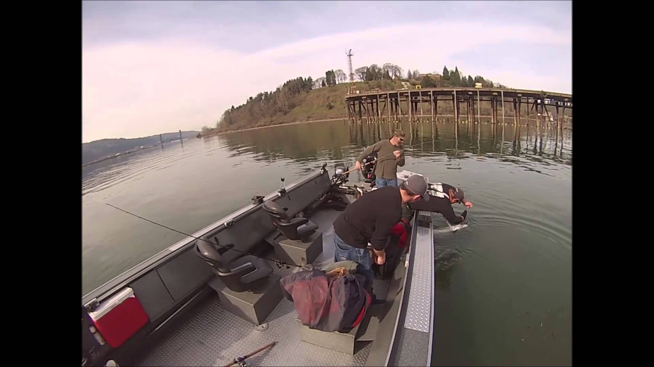 Fishing Willamette river with obsession fishing - YouTube