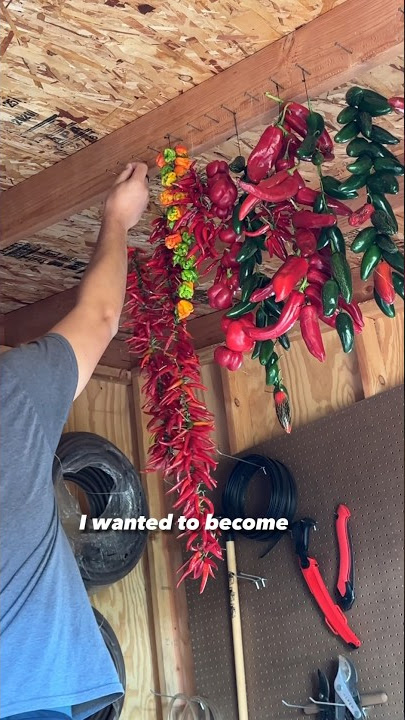 I hang dry my peppers like an Italian grandma