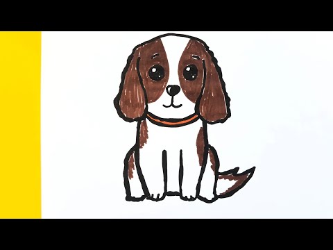 Video: Kuinka leikata King Charles Spaniel