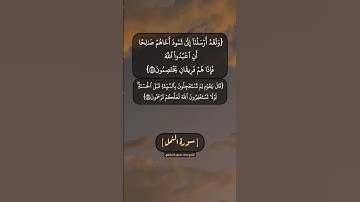 سورة النمل الآية ٤٥ الى ٤٨ بصوت الشيخ محمد صديق المنشاوي