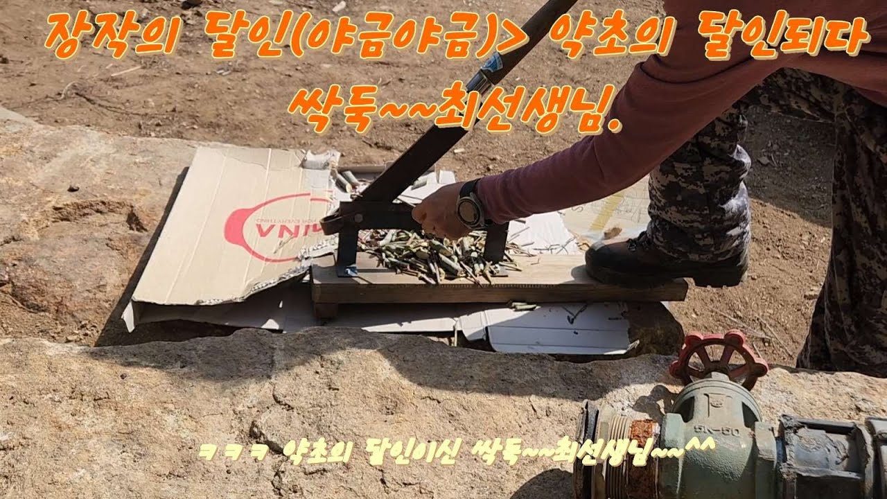 #지리산에서 놀자15.(#산골의 일상,#고로쇠물 점검,#약초의달인,#찜짐이의 달인)