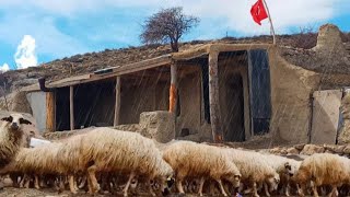 Мужчина один строит дом в горах | документальный