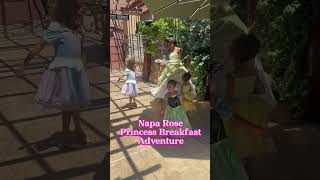 Princess Tiana
