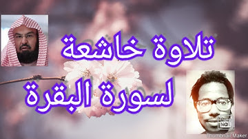 #هدؤ وطمأنينة #سورة البقرة.القارئ (سفيان أيت باكبير )