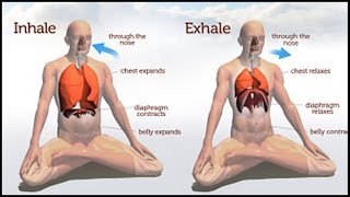 Awareness Breathing: How to focus on your breath!