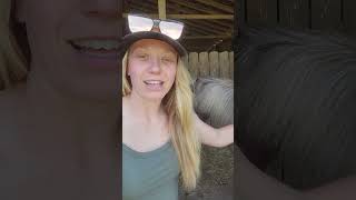 shortsfeed  pony cute girl