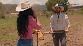 Livia Brito Pantalon