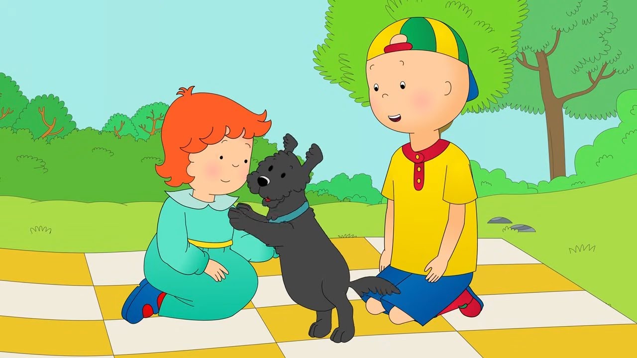 Caillou e Pepper 🐶 | Caillou Português - WildBrain | Desenhos para crianças