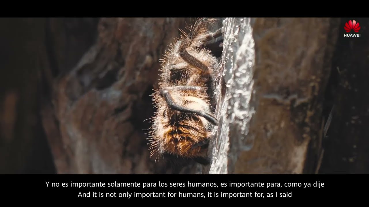 Monitoring Chile’s Nahuelbuta Mountain Range with Bioacoustics