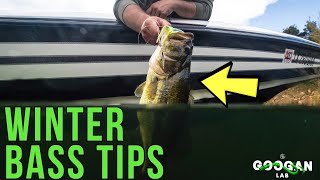 WINTER TIME Bass FISHING TIPS! ( Can you fish shallow? )