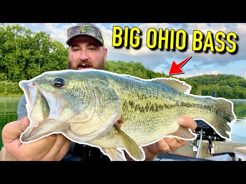 Video: 12 labākie zvejas ezeri Ohaijā