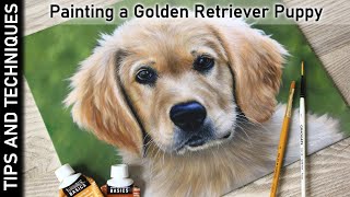 PAINTING A GOLDEN RETRIEVER PUPPY IN ACRYLICS | GOLDEN RETRIEVER PAINTING | ACRYLIC TIPS