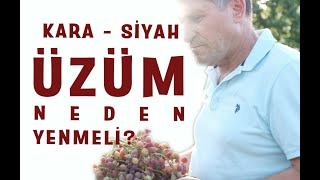 Kara Siyah üzüm faydaları I  Taze Kuru Kırmızı üzümün yararları I Kara Mor üzüm çekirdeği faydaları