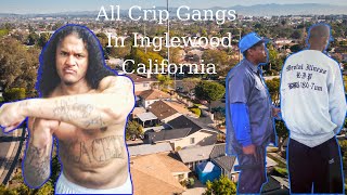 Famous Inglewood Crip Gangs: Surviving in a Blood-Dominated City Profile