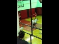 Highlights(7)