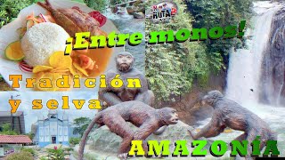 Entre monos, ríos y típica comida de la Amazonía Ecuatoriana/Cotundo, Archidona,Tena, Misahualli 4K