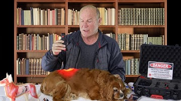 Disc Disease Therapy Using the LZ30-z Laser