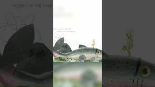 The Struggle of Trout  A Haunting Encounter 1