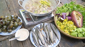 Đặc Sản Nét Quê, Cá Chạch Đồng Nấu Lẩu Mắm "Nhâm Nhi" Vài Ly Rượu Đế | Nét Quê #263