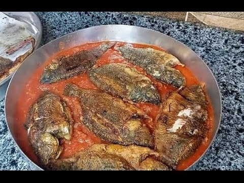 البحر واحد والسمك أنواع سمك الصلصلة واحلى غدوة