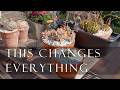 Spring Garden Jobs | Planting Zinnias, Whitewashing Trees &amp; Garden Refresh