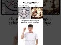 Apa Bedanya Worldbuilding dan Lore?