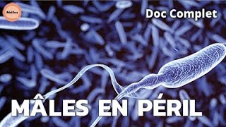 Mâles en Péril : la Menace des Perturbateurs Endocriniens sur la Fertilité | Réel·le·s | DOC COMPLET