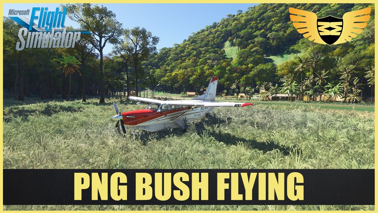 Microsoft Flight Simulator 2024 PNG Bush Flying Dec Members Stream ...