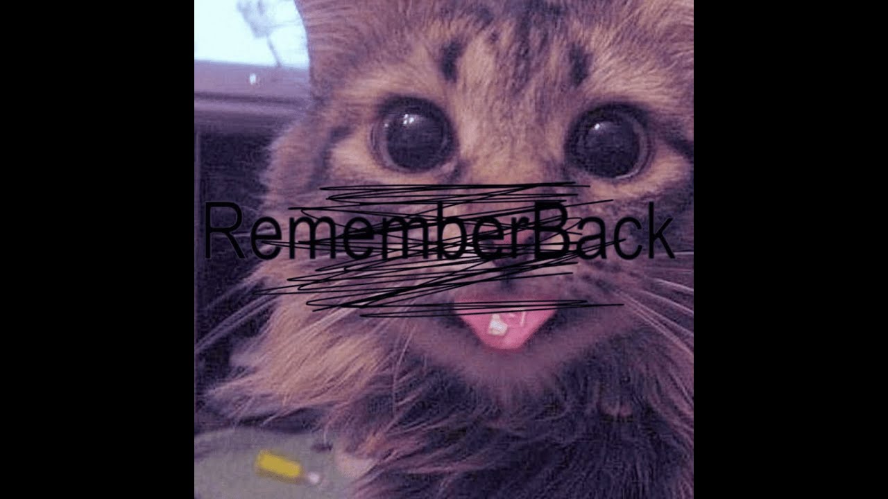 Remember Back - KESHA Ft: KCO (Remastered) - YouTube