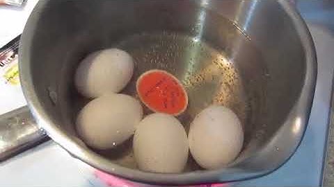 Color Changing Egg Timer