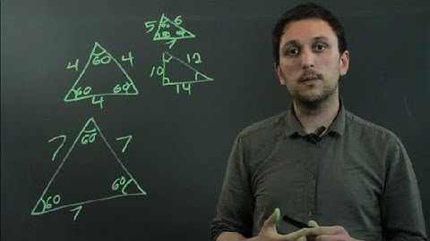 Introduction to Similarity of Triangles : Triangles & Conversions in Math