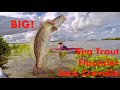 Hot Bite! Saltwater Kayak Fishing - Shell Mound, FL