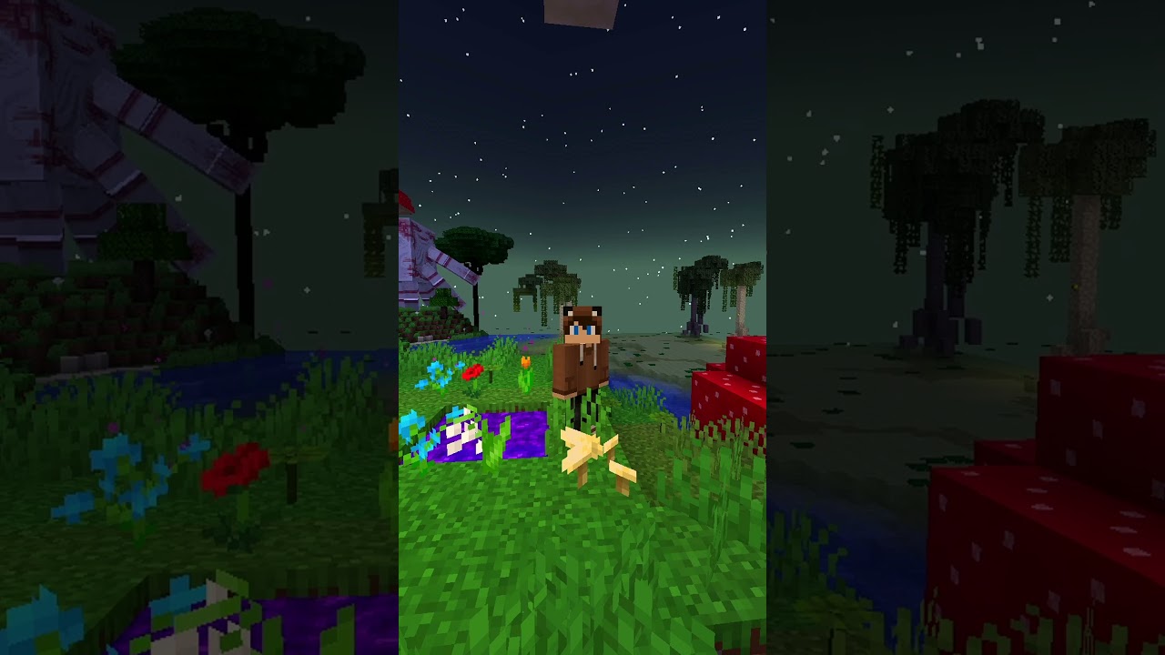 Secret Portal in Minecraft 