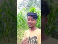 E Juri Santhali short video Stephen tudu #virelvideo @citytuduz