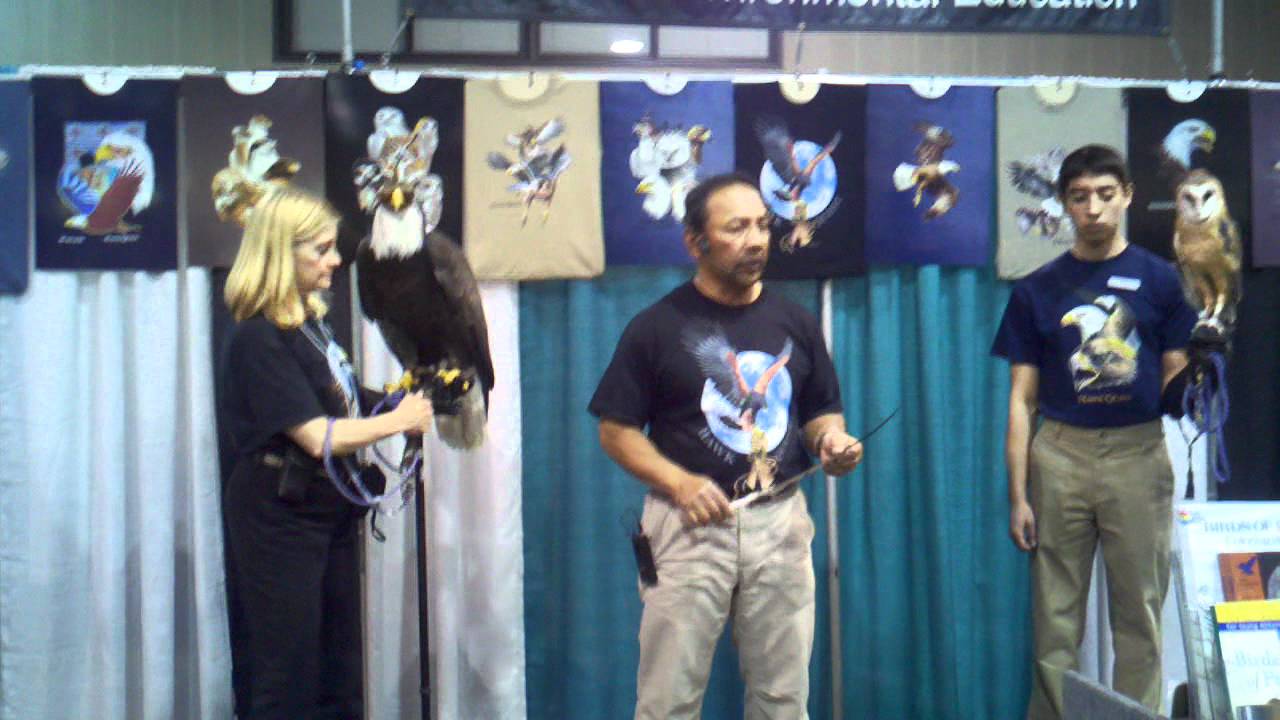 Hawk quest at Native American art festival