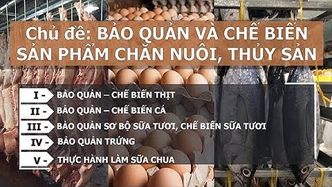 Quy trình chế biến thịt Công nghệ 10