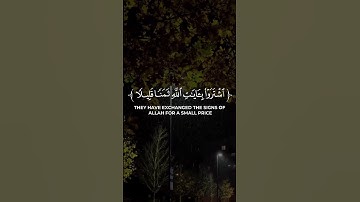 القران الكريم بصوت جميل | محمد ابا الحسن سورة التوبة #القران
