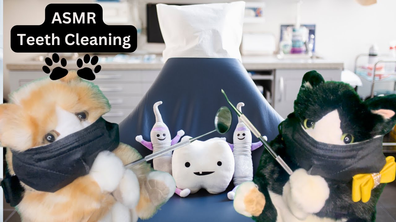 ASMR Cat Dentist Teeth Cleaning Personal Attention Layered Sounds