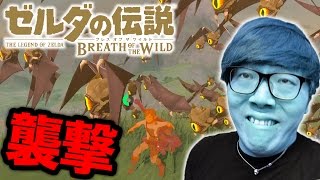 【ゼルダの伝説】ついに空飛んで外の世界いったらめちゃ襲われたwww ヒカキンのゼルダの伝説ブレスオブザワイルド実況 Part4