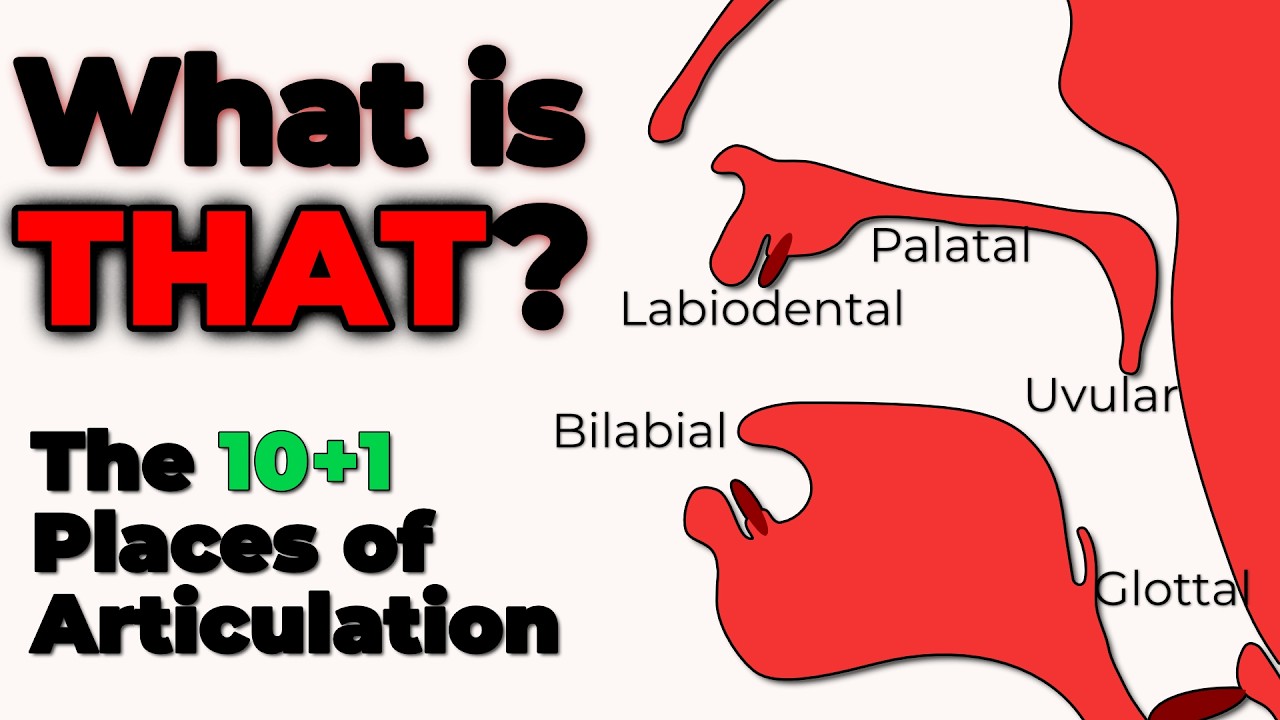The 10+1 Places of Consonant Articulation in the IPA