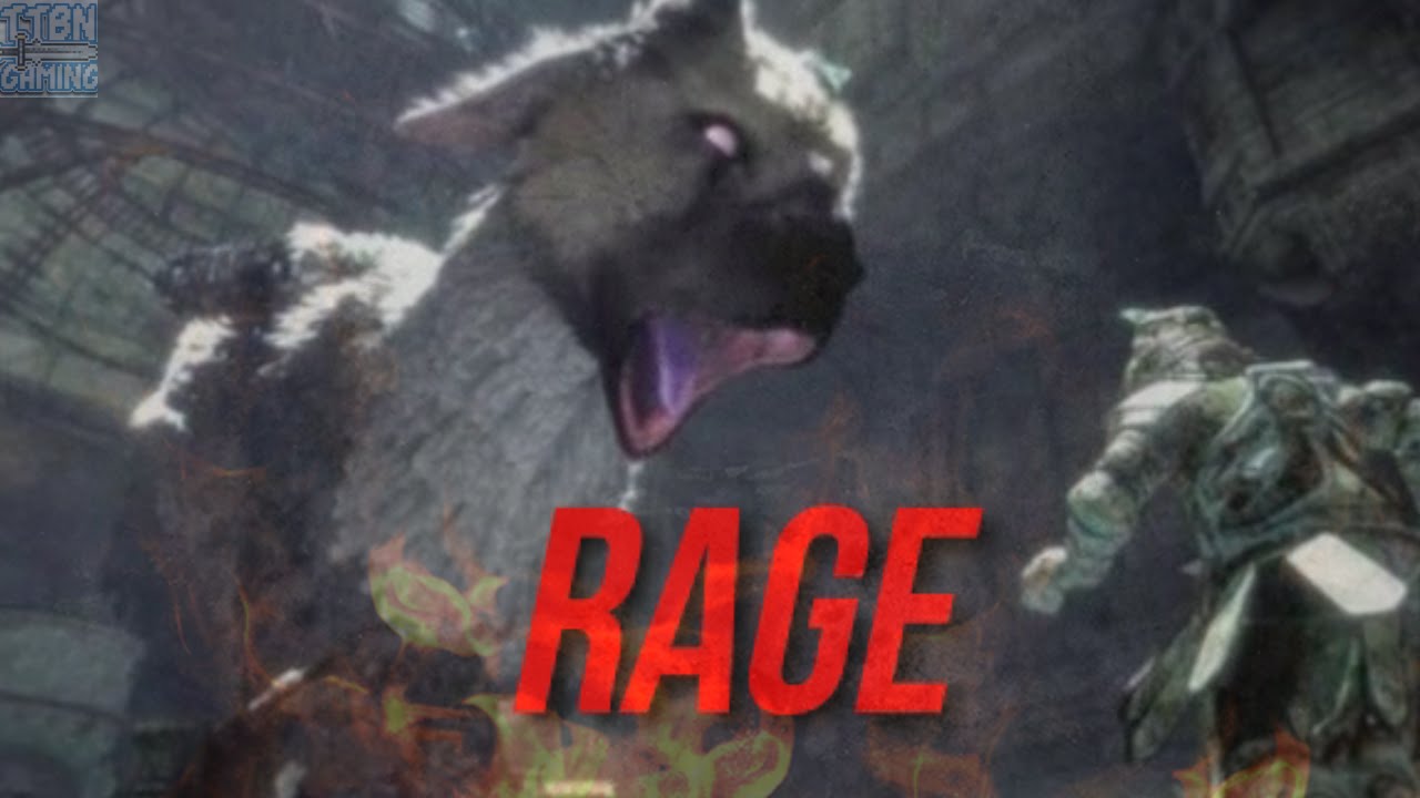 Rage :A Last Guardian Compilation