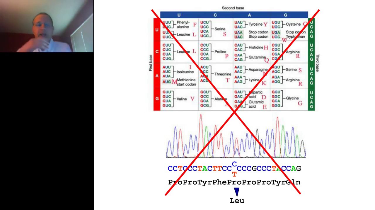 Nadav Ahituv, PhD - Functional Characterization of Gene Regulatory Elements