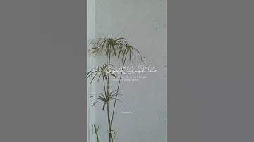 سورة الصف.