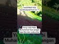 jangan lupa bersholawat