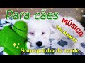 MÚSICA PARA CACHORRO DORMIR | Sonequinha da tarde  com Mozart| Música de ninar